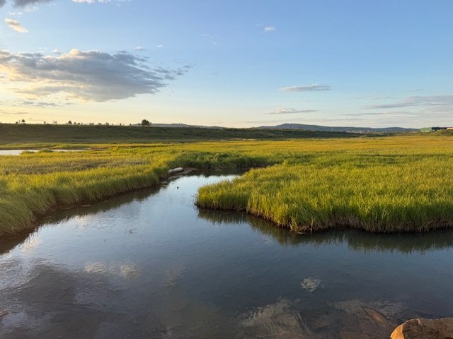 Marsh across the street