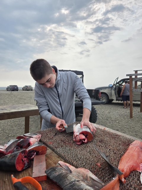 Learning how to fillet salmon to dry