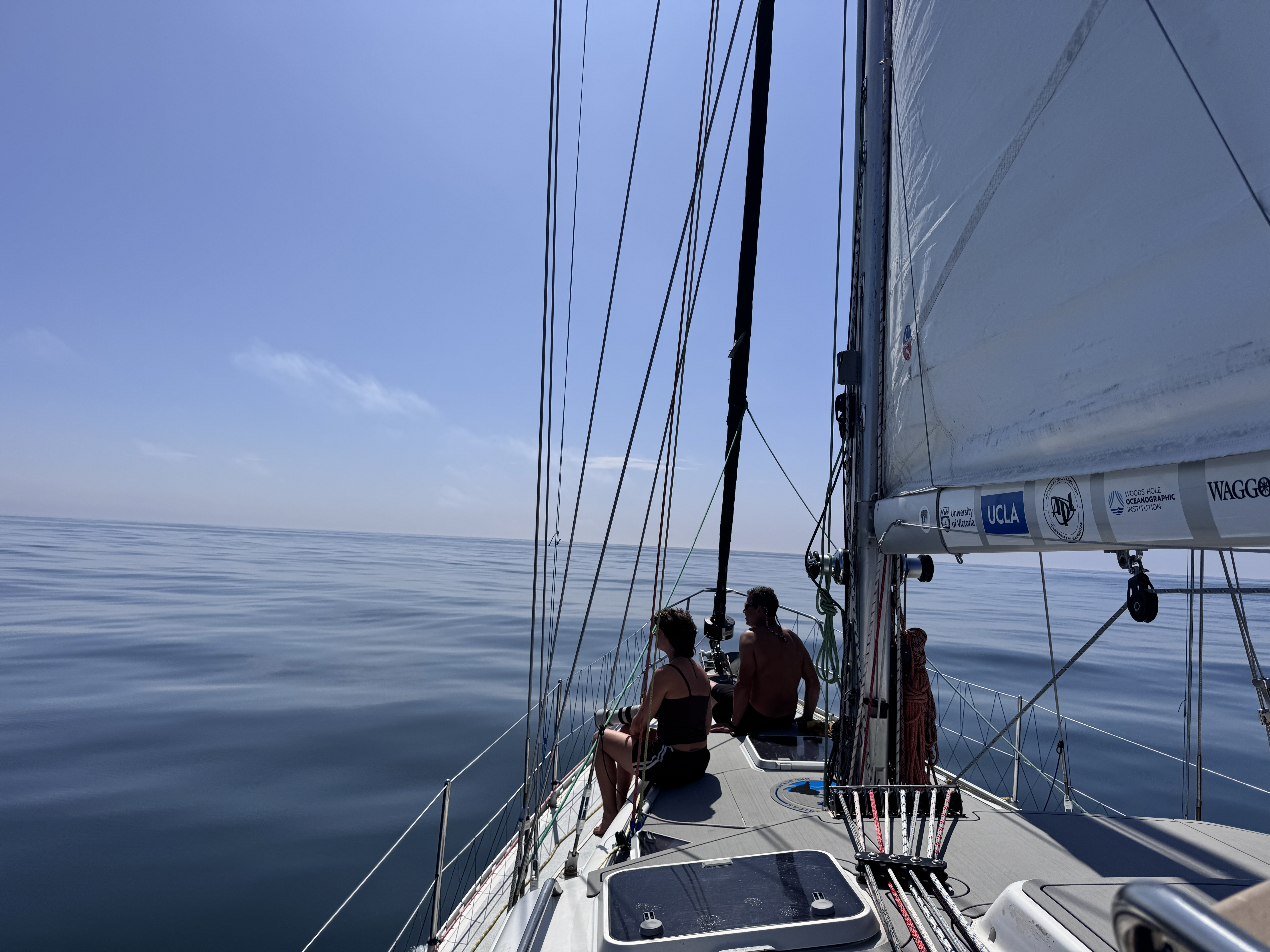 One Ocean | One Island, One Ocean