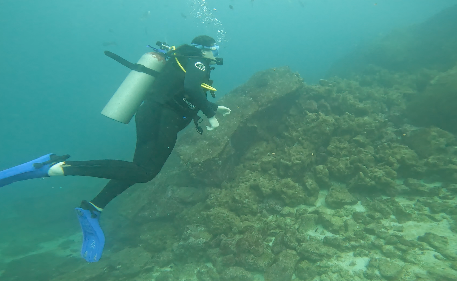 diving