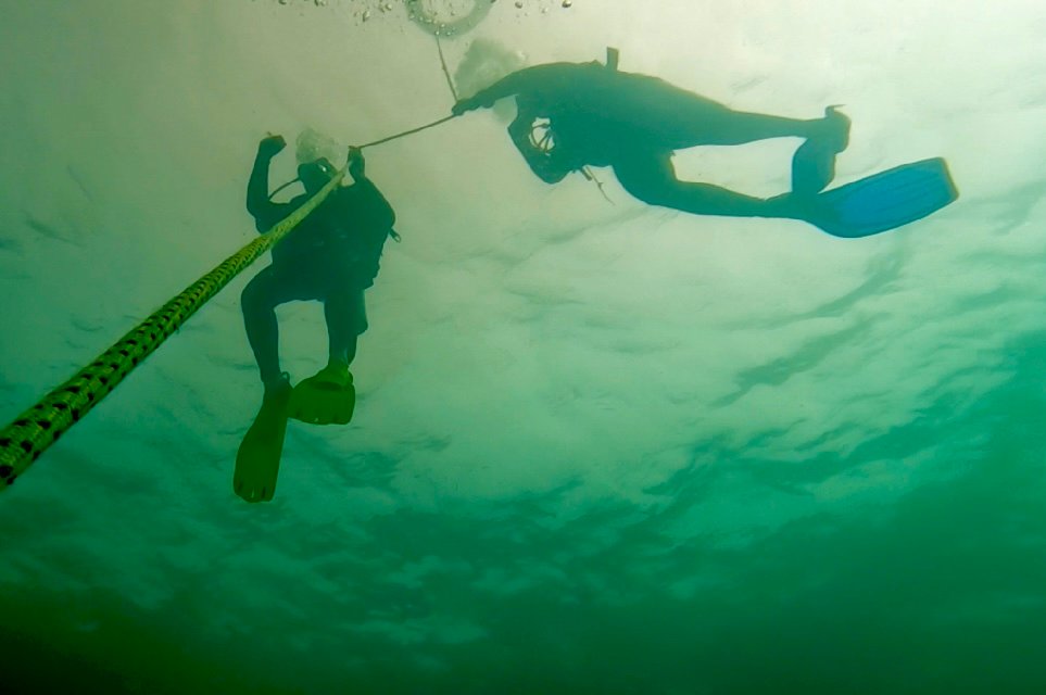 dive
