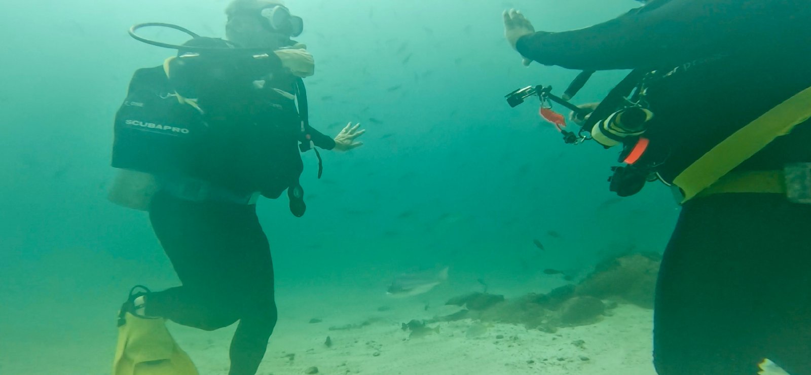 Dive