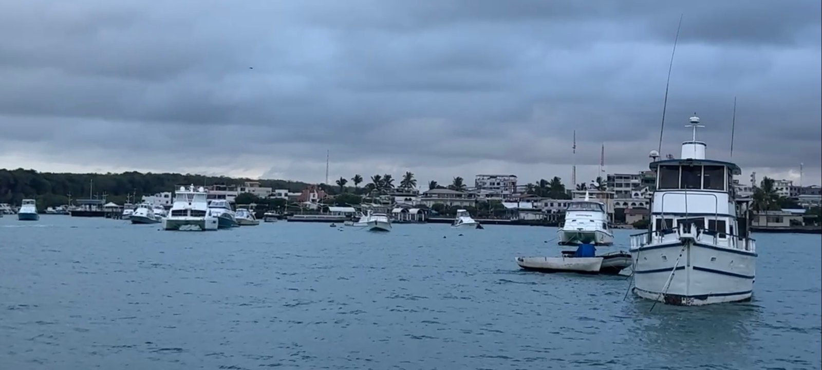 Galapagos