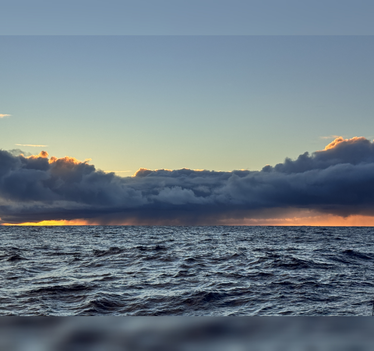 The pacific