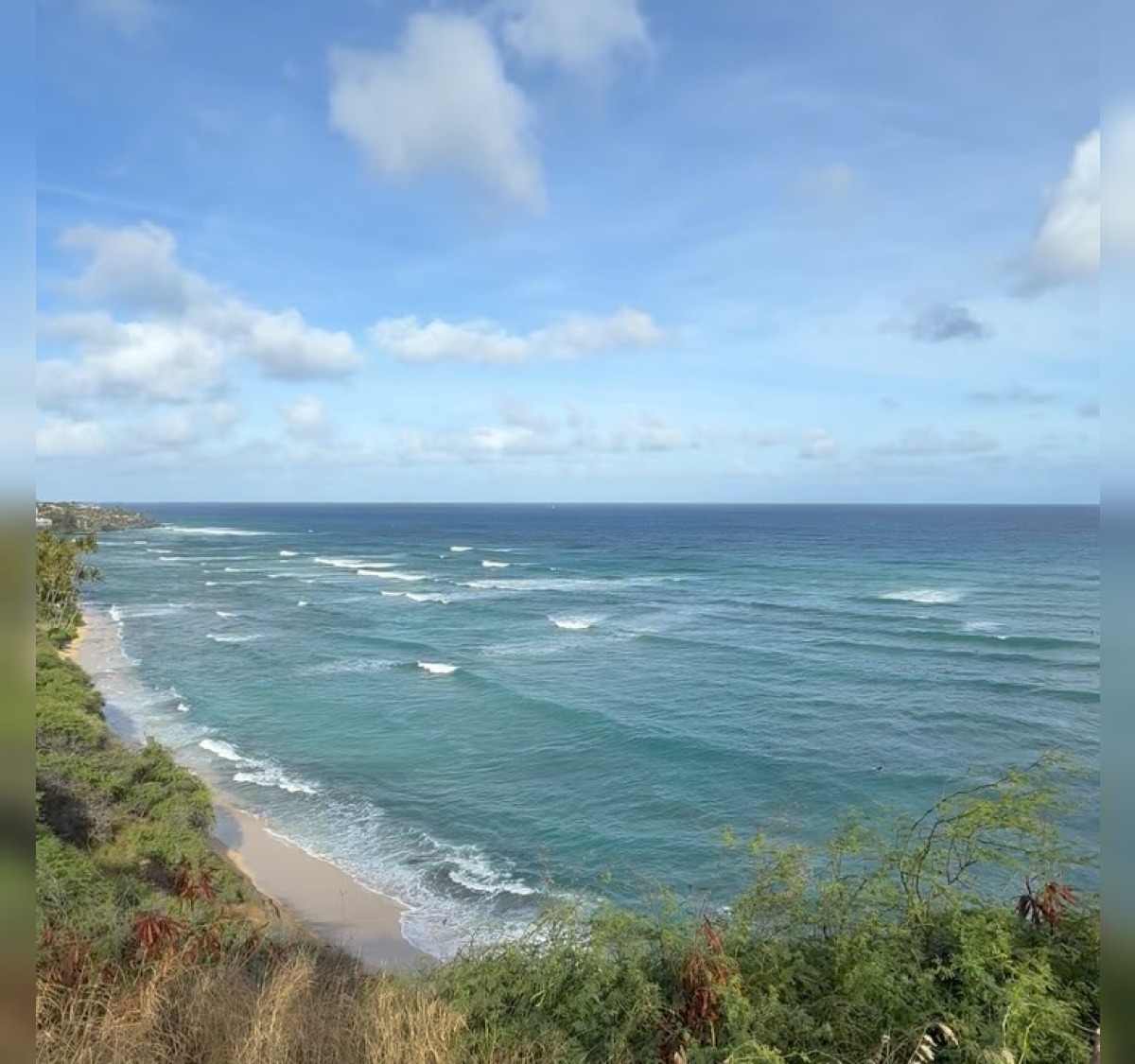 Here in Honolulu, we had the opportunity to meet Anthony, the creator of our incredible…
