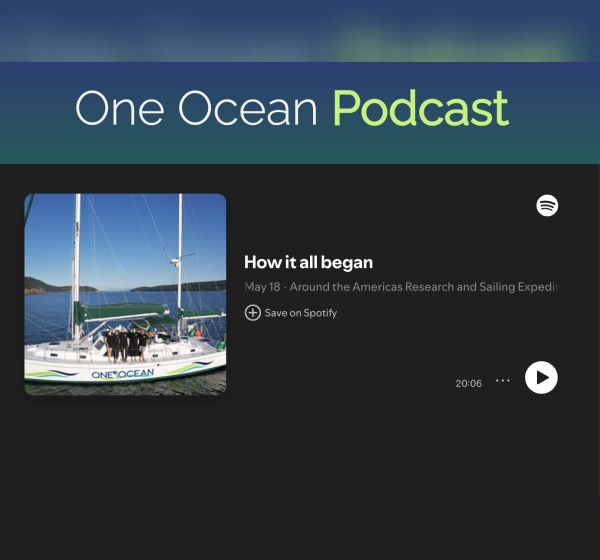 Podcast Episode 1: How it All Began