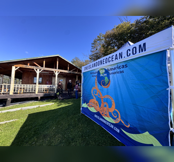 Cedena Sailing School