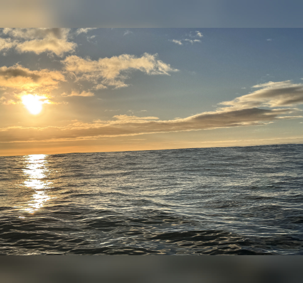Morning