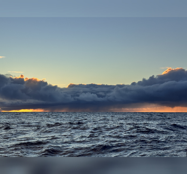 The pacific