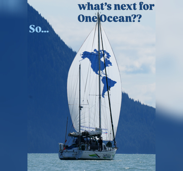 So, what’s next??