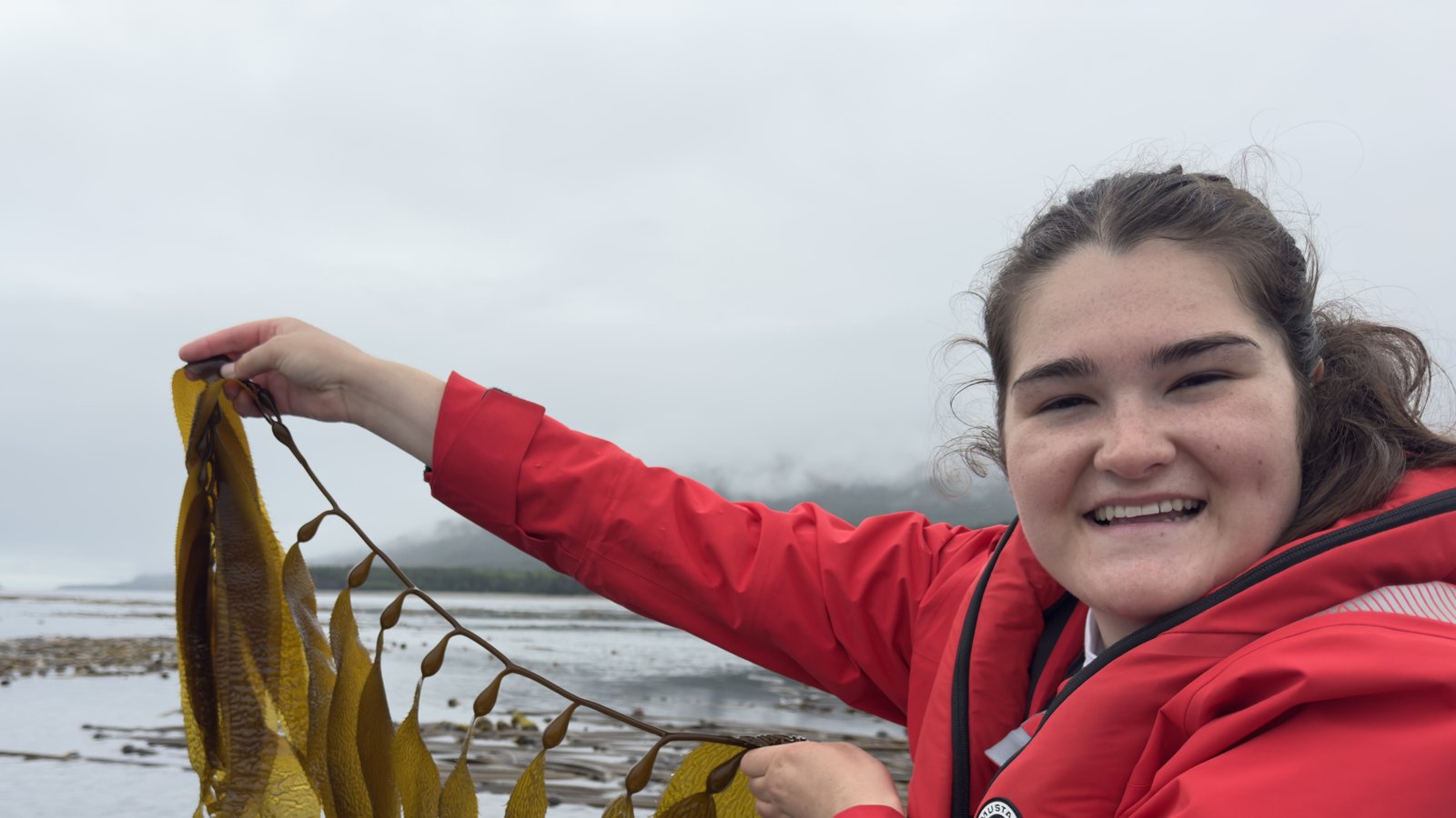 Giant Kelp