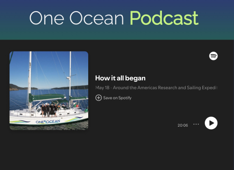 Podcast Episode 1: How it All Began