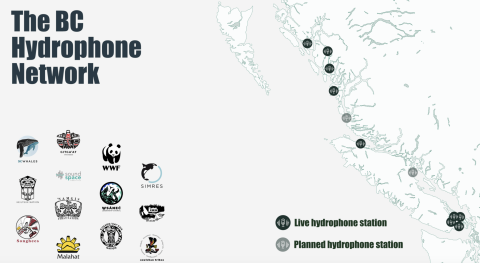 bc hydrophone network