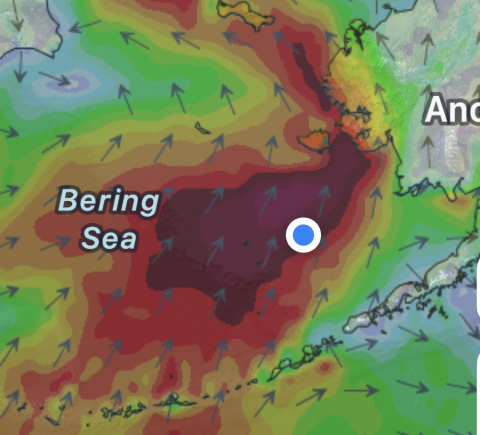 forecast