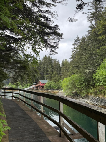 Pathway around Elfin Cove