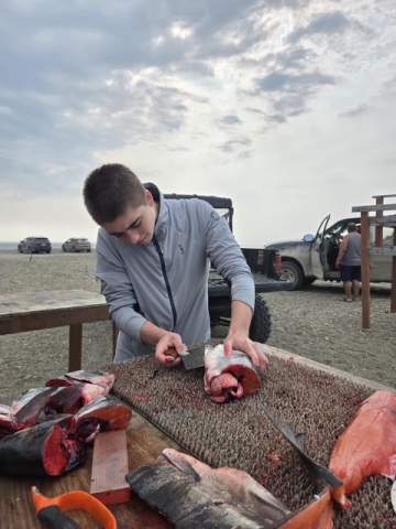 Learning how to fillet salmon to dry