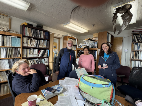 North Slope Borough Wildlife Management