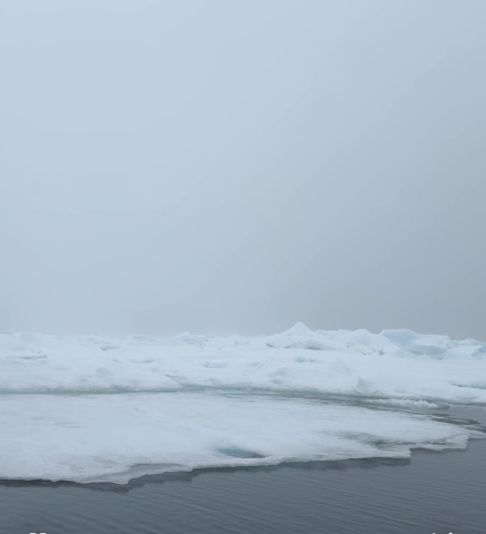 ice