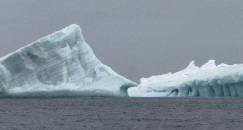 ice berg