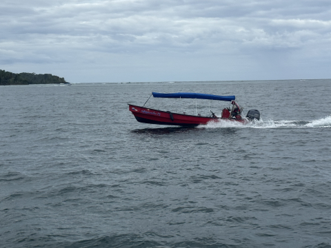 Panga