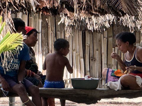 Guna yala