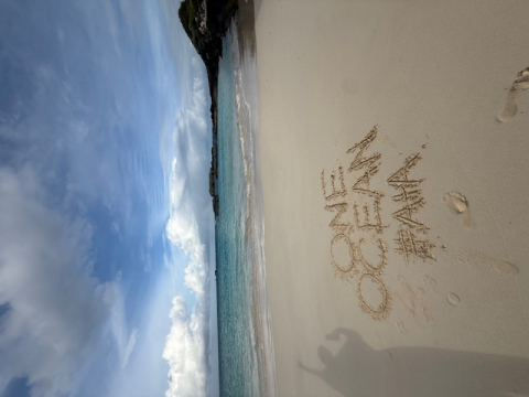 Beach in Bermuda #oneocean