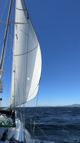 sailing