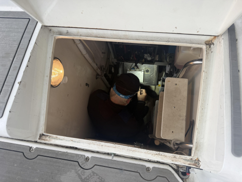 Mark fixing heater