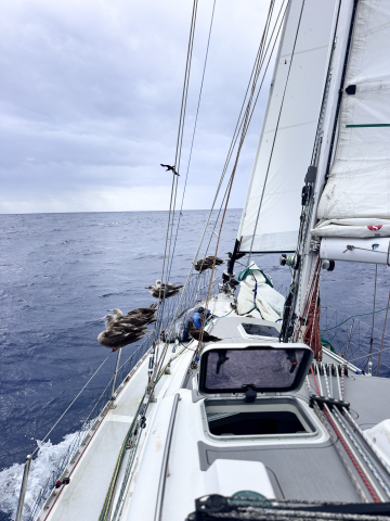 Pacific Crossing