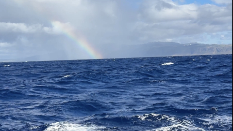 Oahu
