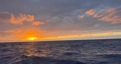 Pacific Crossing