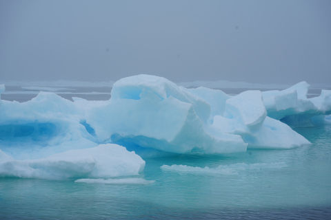  ice