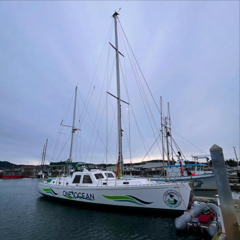 Looking glorious with both masts🤩⛵️ 🌎🌊 - -