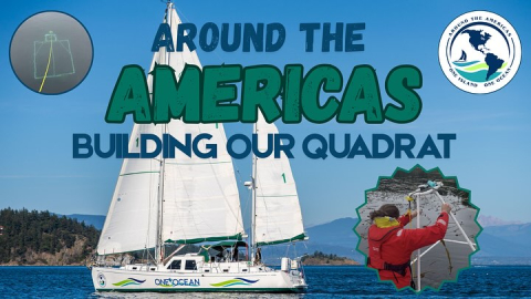 NEW YOUTUBE VIDEO!🌎🌊 Learn how we built our quadrat!