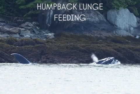 What the fluke?!