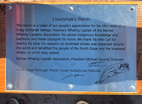 Whale Wednesday: Highlighting the work of Craig George and Harry Brower Jr.🐋🌊 🌎🌊 During…