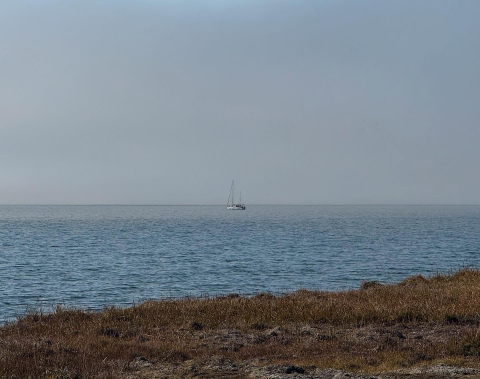 Baillie Island 📍⛵️ The One Ocean crew spent a day in Snow Goose Pass before heading SE…