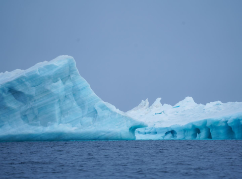 From Sea Ice to Icebergs 🌎🌊 Traveling from Fort Ross to Tay Bay, the One Ocean crew enc…