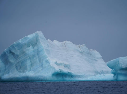 From Sea Ice to Icebergs 🌎🌊 Traveling from Fort Ross to Tay Bay, the One Ocean crew enc…