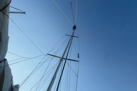 Mark up the mast ⛵️ Mark keeps saying he needs to fix something on the mast.