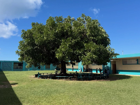 Thank you Saint Croix!