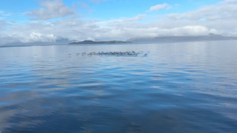 Good morning from One Ocean in Patagonia!