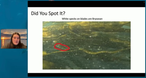 Did you make it to yesterday’s live classroom?🌿 Our lead onboard scientist, Grace Dalto…