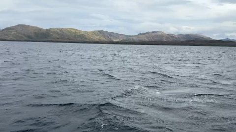 In the Strait of Magellan today!