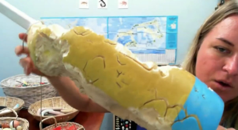 Go watch our Marine Plastic Pollution class on @ebtsoyp with @bueibermuda !