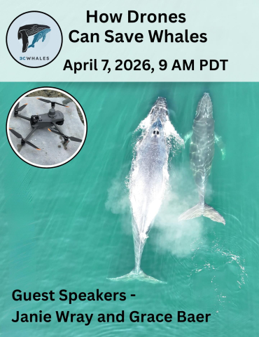 Please join the Around the Americas Expedition and our special guests from @bcwhales —J…