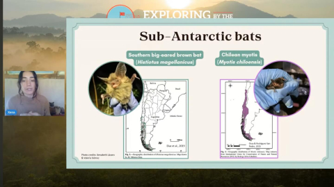 Did you miss our live bat class?!?