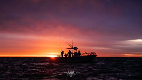 Buy an Unforgettable Adventure — Support Ocean Exploration This extraordinary package i…