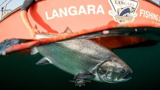 Buy an Unforgettable Adventure — Support Ocean Exploration This extraordinary package i…