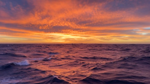 After about 5.5 days at sea, the Around the Americas crew made it to Concón at about 3…